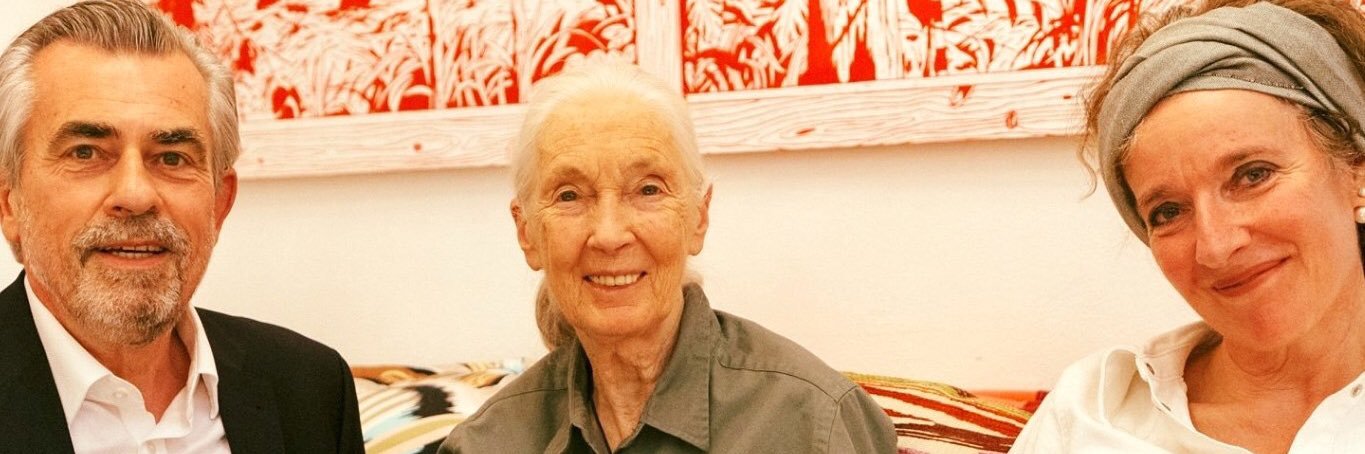 Thomas Koenen banner