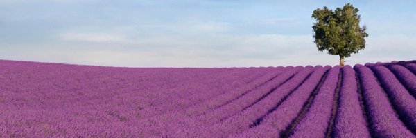 TipsCuidadores Profile Banner