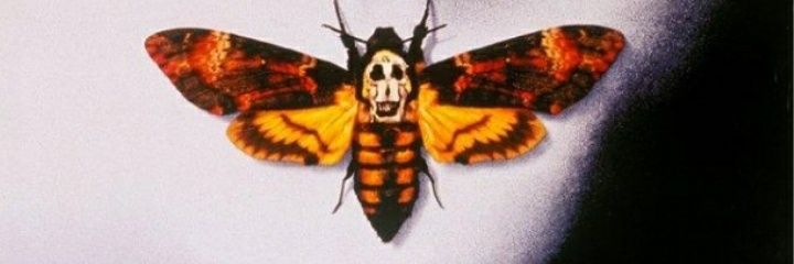 Larux_'s profile banner image
