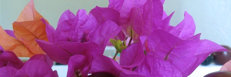 AdHiZaPips's profile banner image