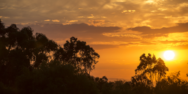 Sulakshna Goel banner