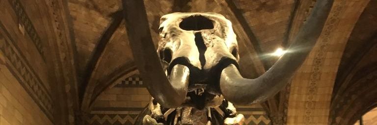 Dr. Hilary Murray banner