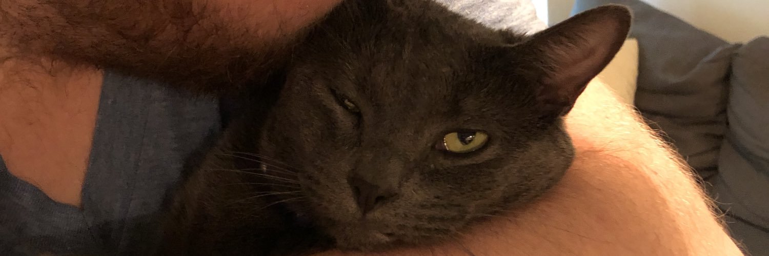 patmd6's profile banner image