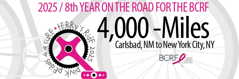 PinkPedals4AC's profile banner image