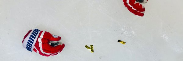 gilliankemmerer Profile Banner