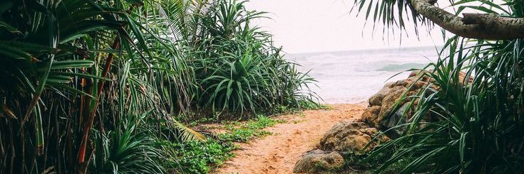 MBellido_'s profile banner image