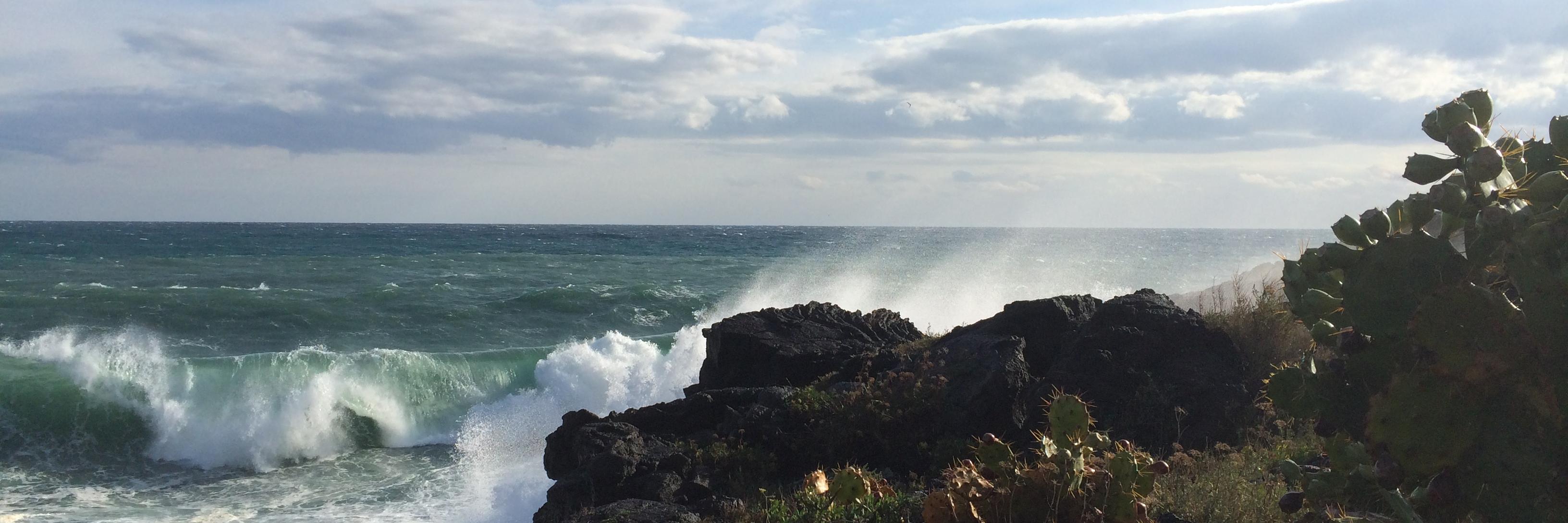 Davide Consoli banner