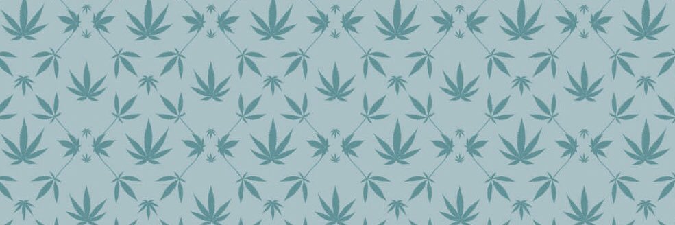 Nancy Potwin↪️ banner