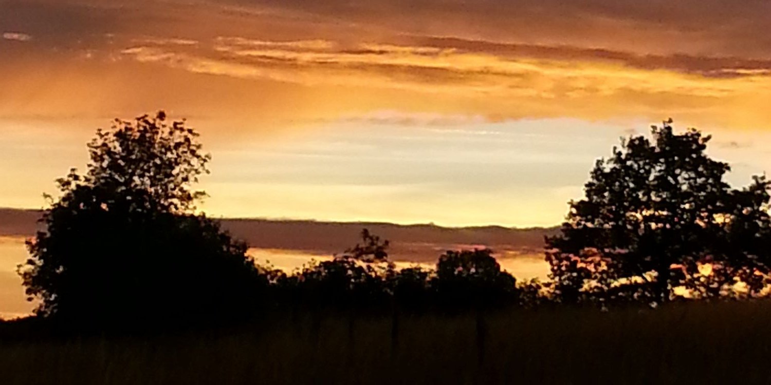 boebau's profile banner image