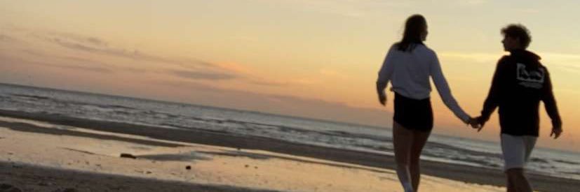 vdk banner