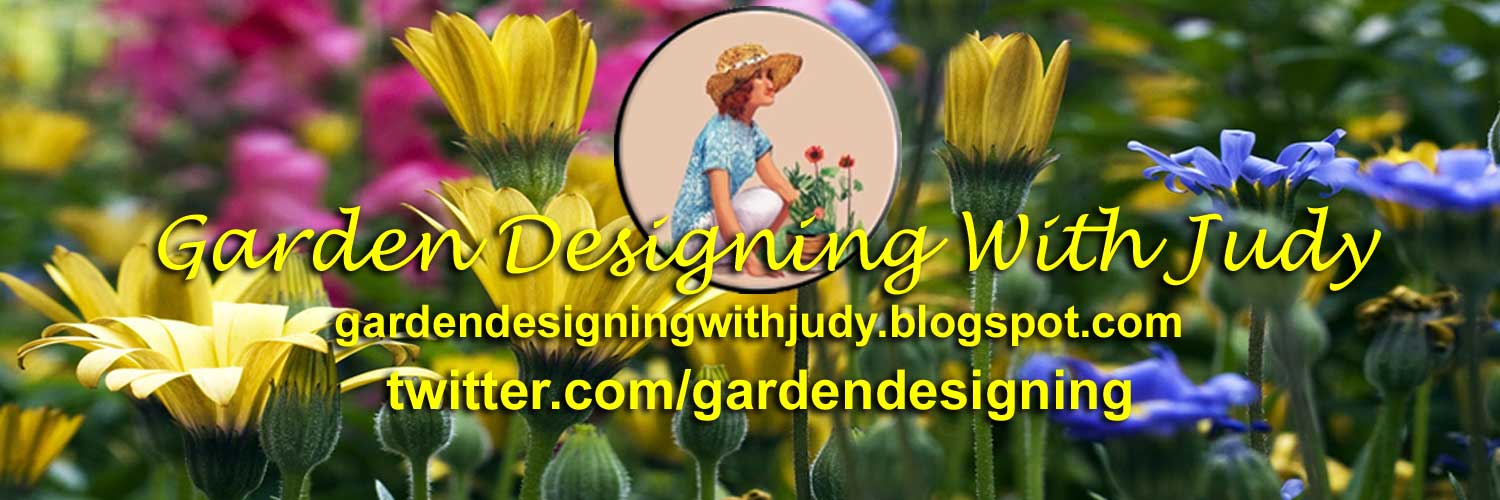 Gardening Designing With Judy banner