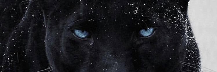 a_jack13's profile banner image