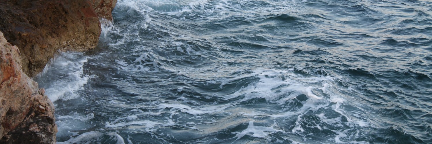MarinaCastilloF's profile banner image