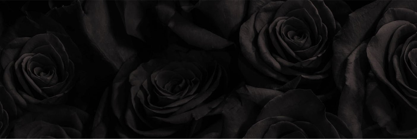 m2019vh's profile banner image