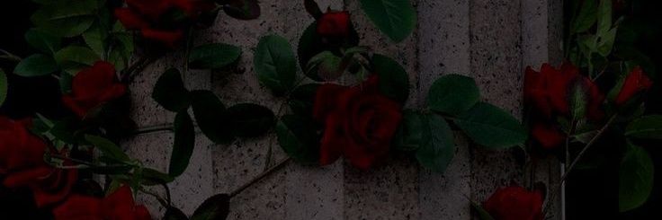 beliqueen_'s profile banner image