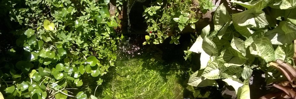 saraandre8's profile banner image