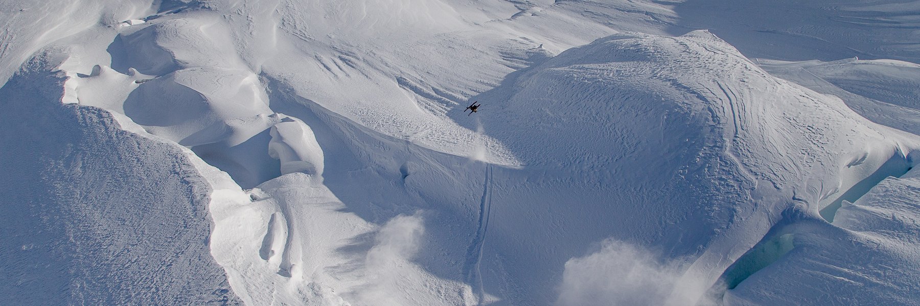 Sammy Carlson banner