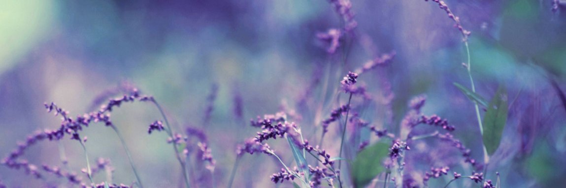 cemrebaskaya's profile banner image