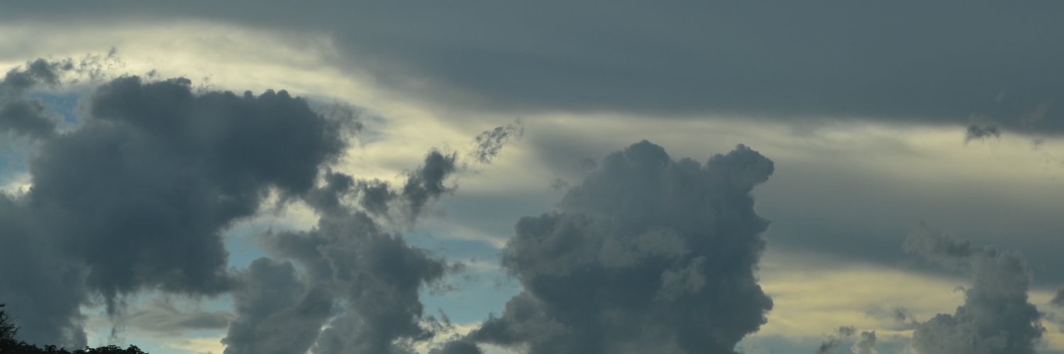 Precious Shumba banner