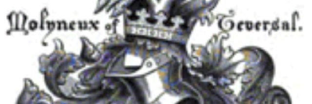 WindyMirror's profile banner image