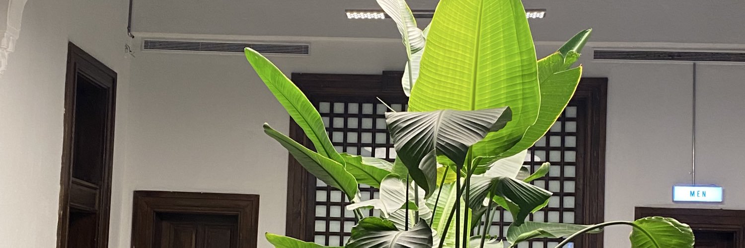 dilekykt's profile banner image