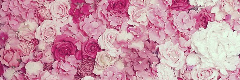 نورة حمد الماضي banner