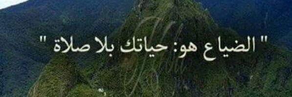 3Engalimostafa's profile banner image