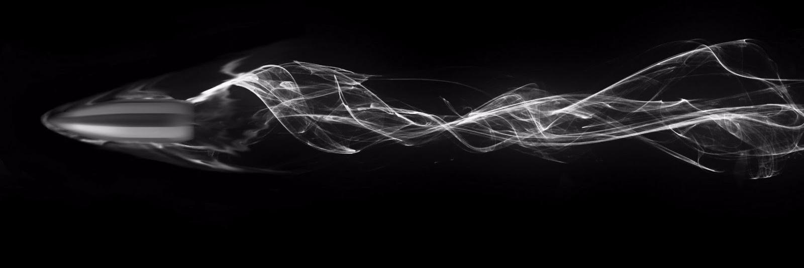 Pavel banner