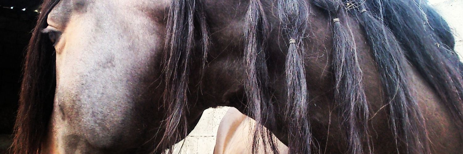 verupa89's profile banner image