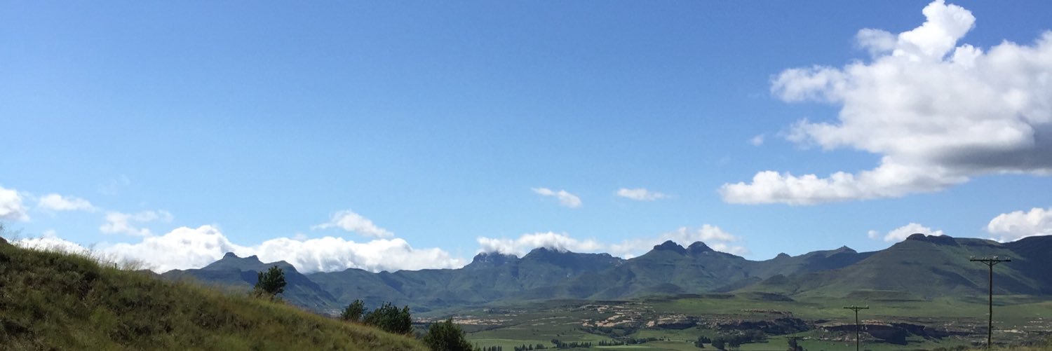 Gerhard de Bruin banner