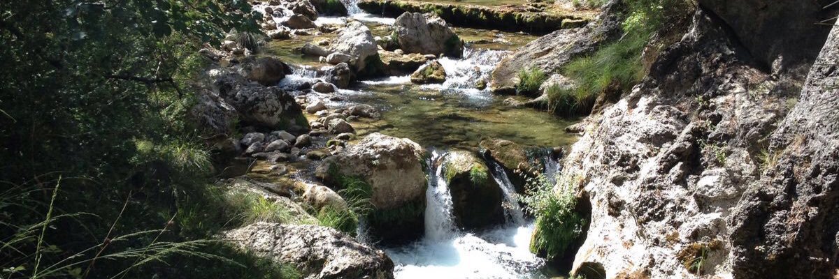 jmcarpin1's profile banner image