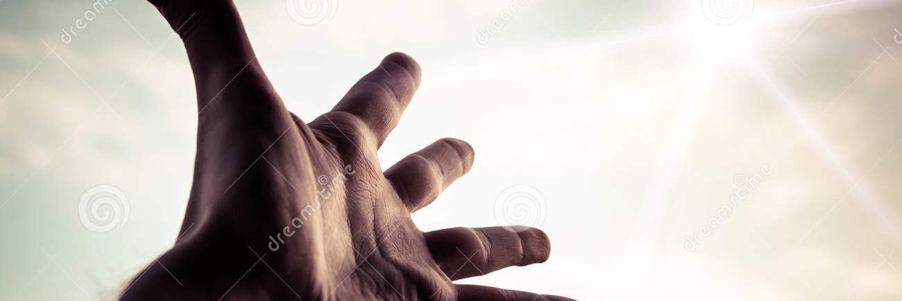RichardsonAlly2's profile banner image