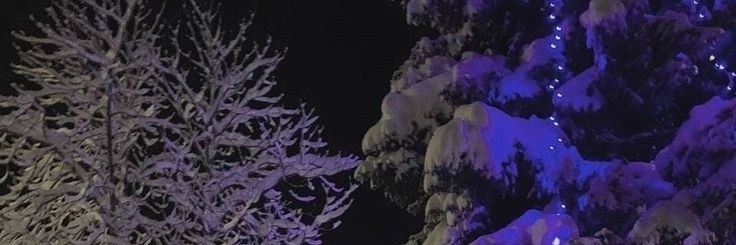 mxzn21's profile banner image