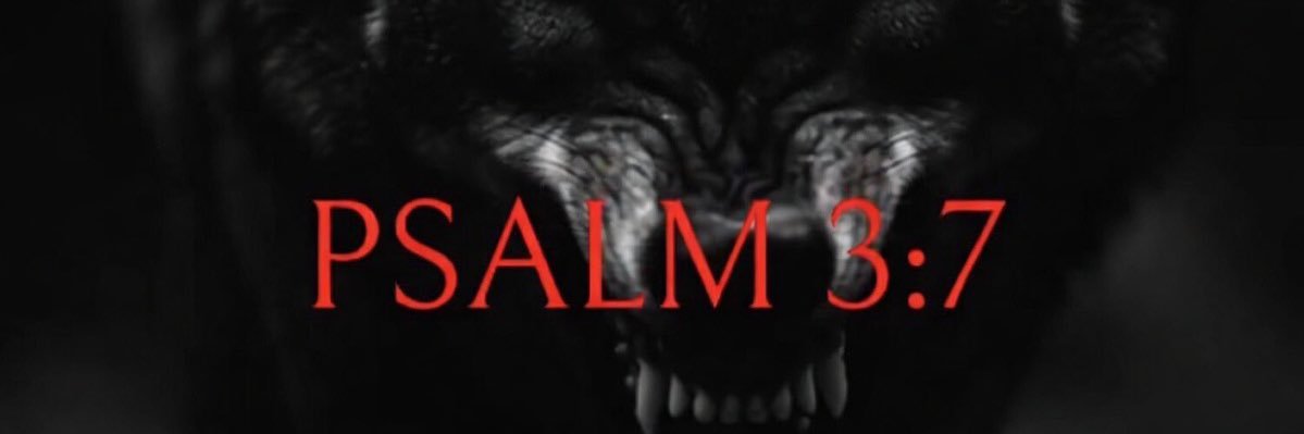 ALT Truth Seeker 🇺🇸 banner