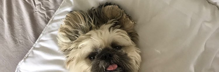 claudia_gracee's profile banner image