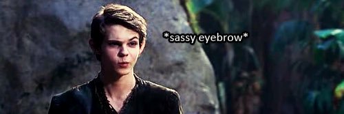 Pans Eyebrows banner