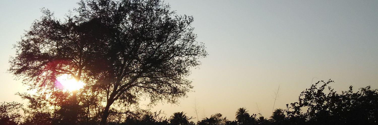 shreshtha312's profile banner image