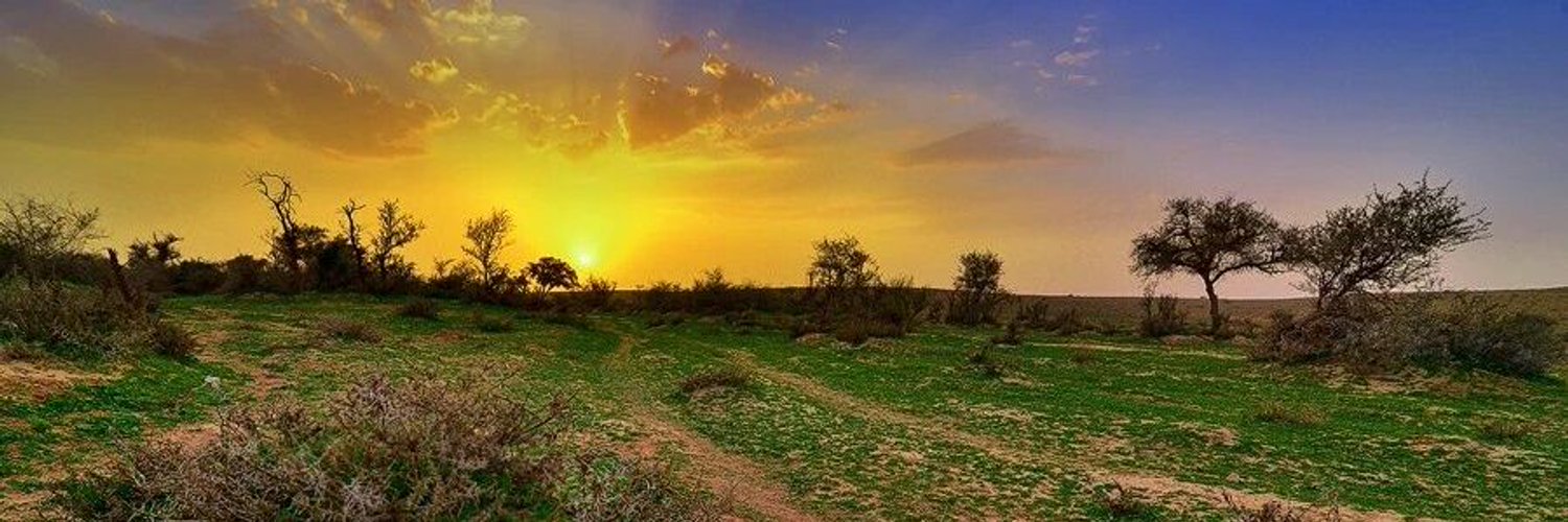 ‏أبو صالح 🇸🇦 banner