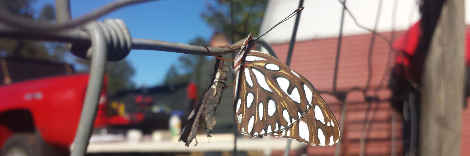 Creighton Vaughn banner