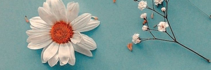 pambi22's profile banner image