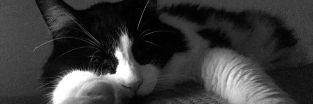 M_Brown9293's profile banner image