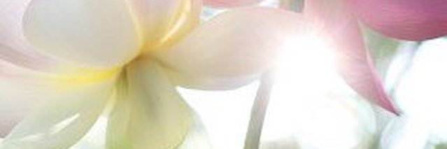 ElewiM's profile banner image