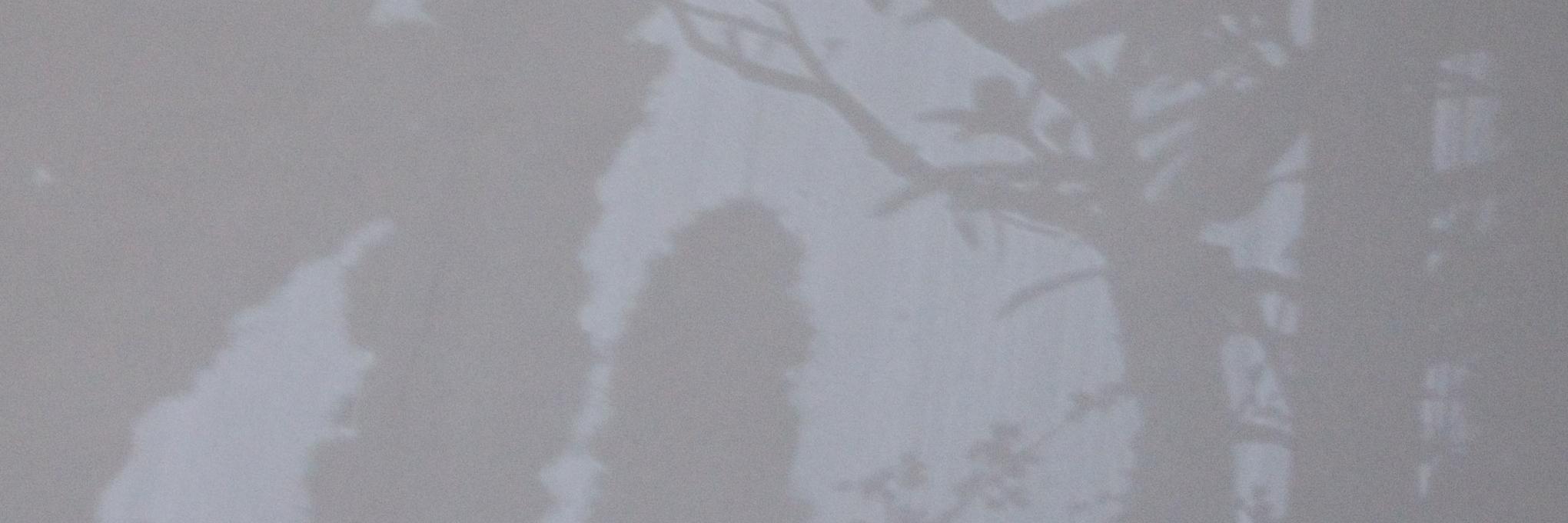 25091264's profile banner image