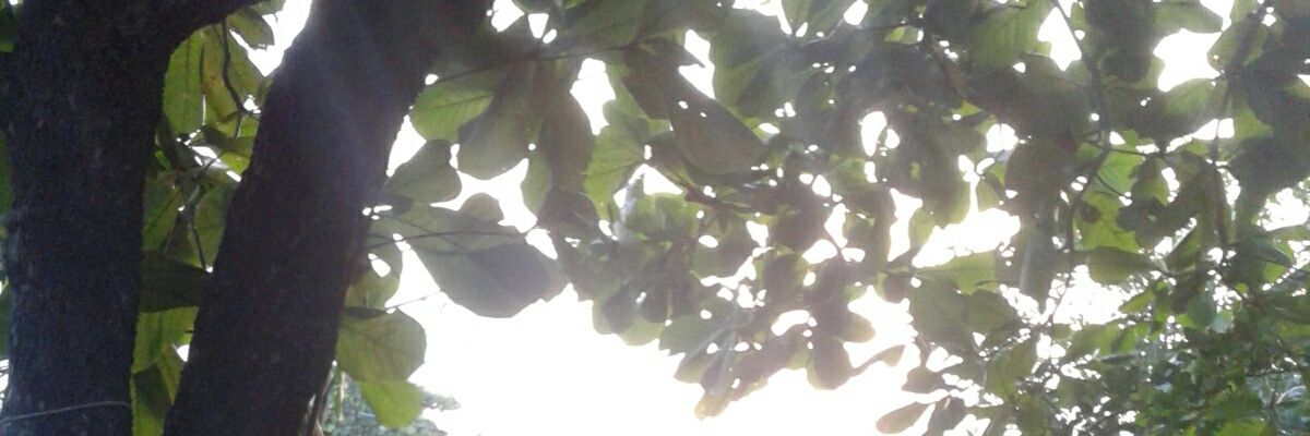 AnnaFeer_15's profile banner image