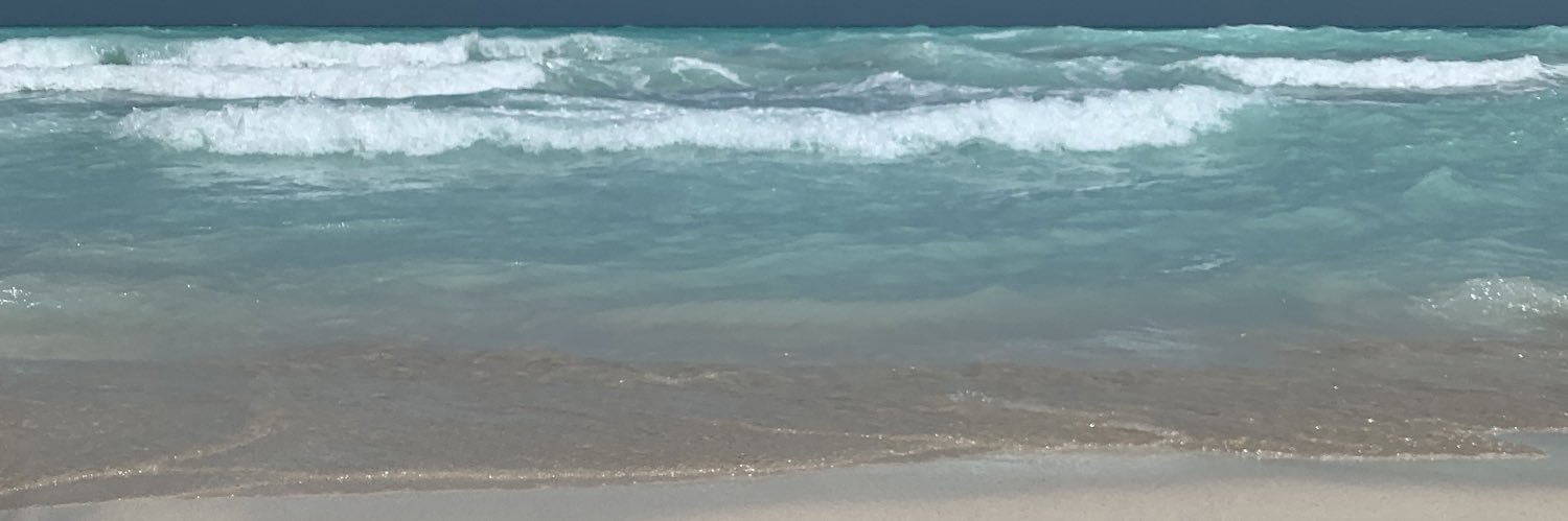 haninsamer's profile banner image