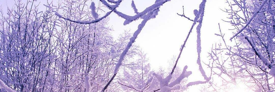 tc_meri's profile banner image