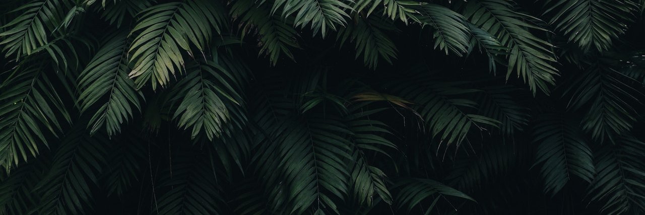 EminVergil's profile banner image