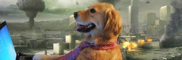 anushreeeee_'s profile banner image
