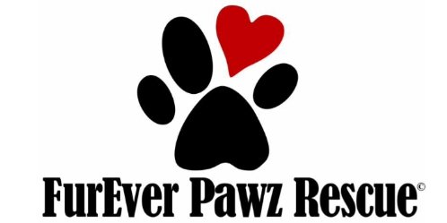 FurEverPawz's profile banner image