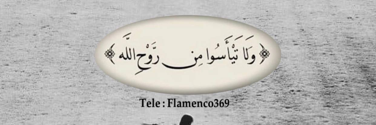 halaa20166's profile banner image